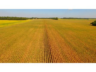 Property photo 11 - MAJOR ILLINOIS LAND AUCTION - 752.54+/- ACRES OFFERED IN 9 TRACTS IN KANKAKEE COUNTY, ILLINOIS